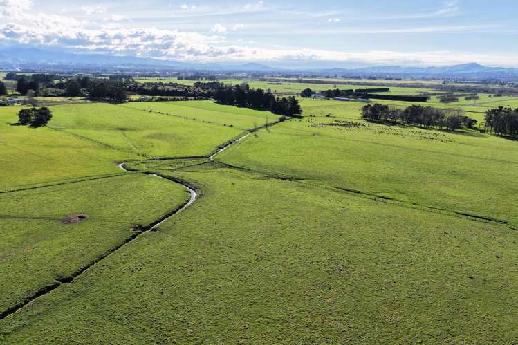 326 Cornwall Road East Taratahi_18