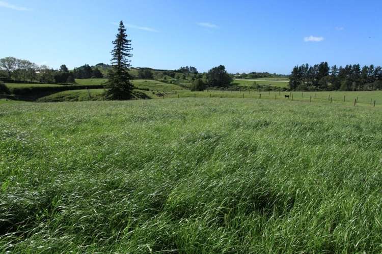 437 Mystery Creek Road Ohaupo_11