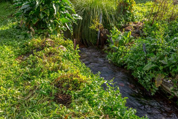 22 Waltons Avenue Masterton_18