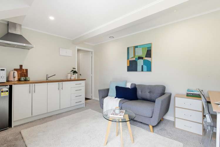 26 Dominion Park Street Johnsonville_9