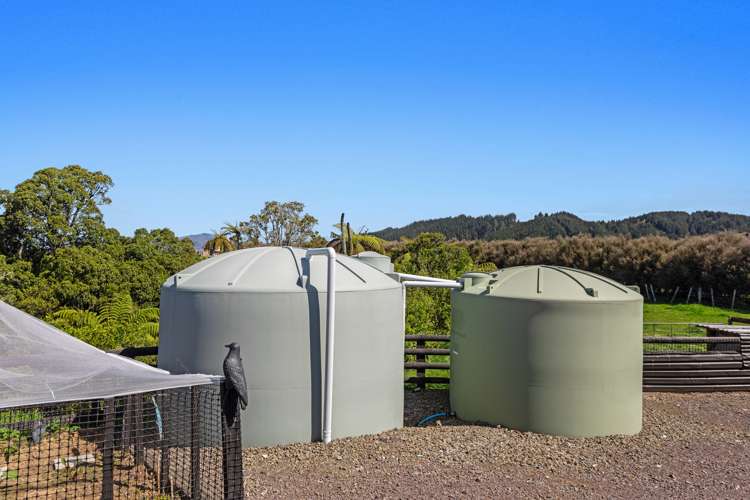 1187 Stanley Road Waimana_25