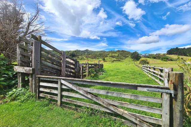 3195A Tiki Road, State Highway 25, Preece Point Coromandel_3