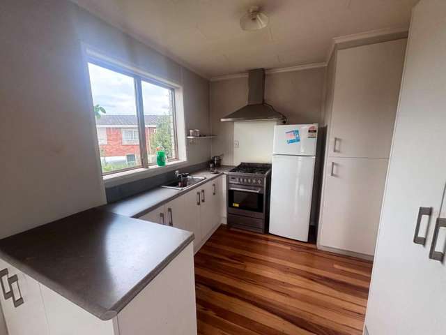 32 Stafford Street 11373_3