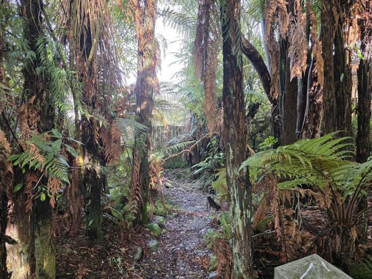 153 Weld Street Hokitika_24