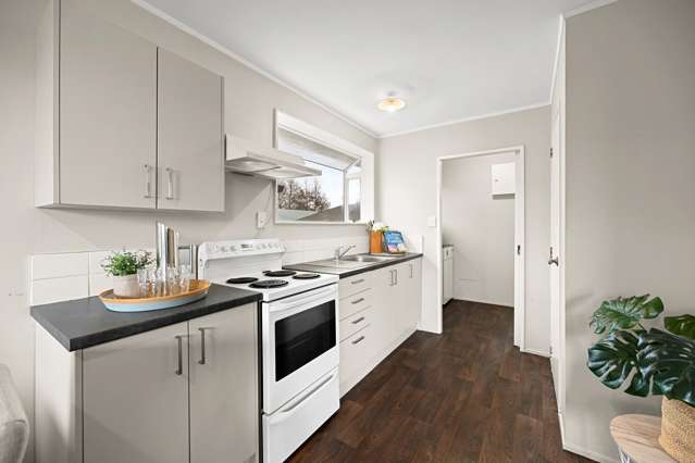 20B Lloyd Drive Nawton_2