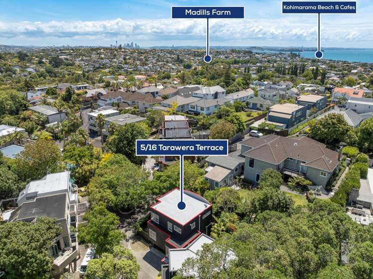 5/16 Tarawera Terrace Saint Heliers_25