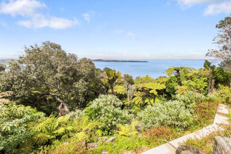 372a Hillsborough Road Hillsborough_10