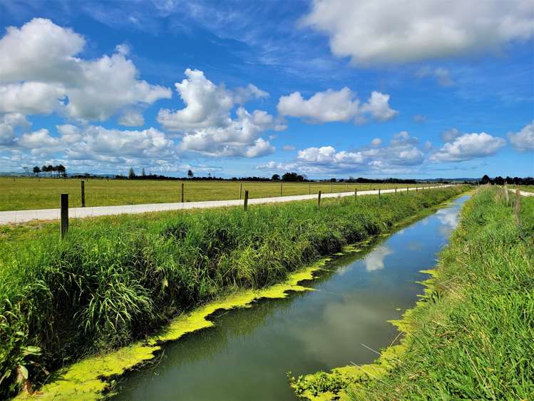 Tramline Road Ruawai_7