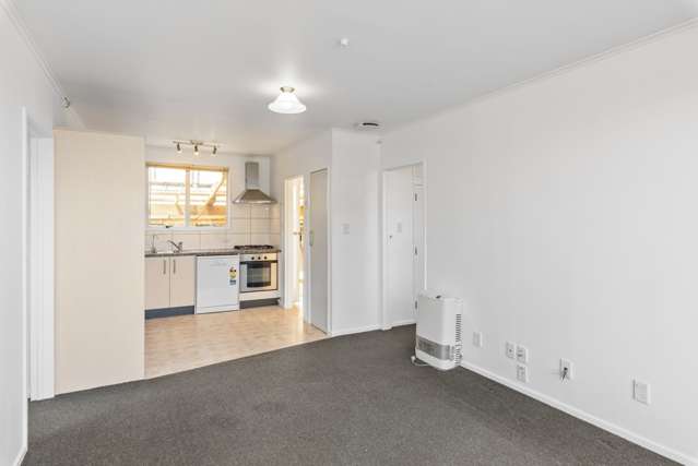 8 Mamaku Street 10587_2