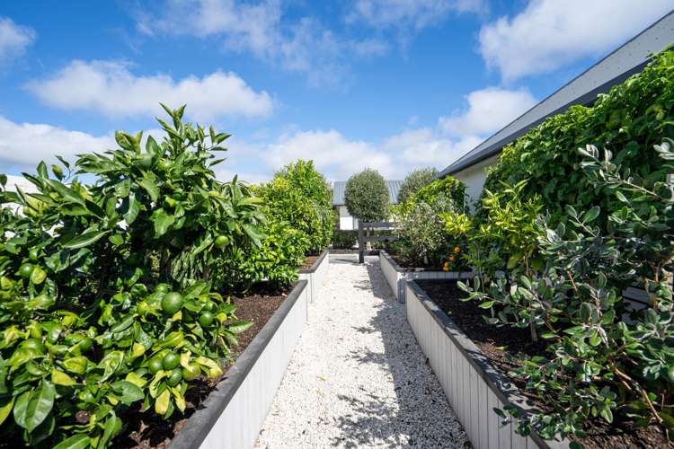 25 Mike Smith Drive Cambridge_23