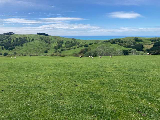 715 Te Apiti Road Waimarama_4