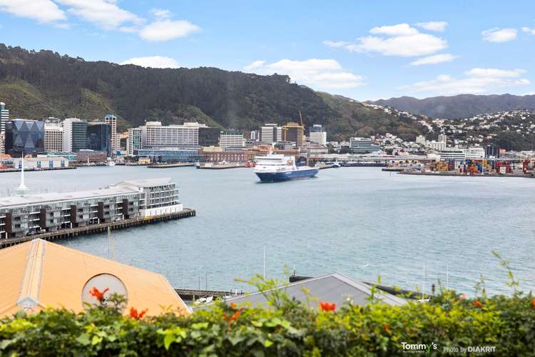 53 Hawker Street Mount Victoria_4