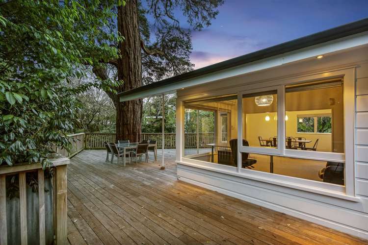 11 Judges Bay Road Parnell_11