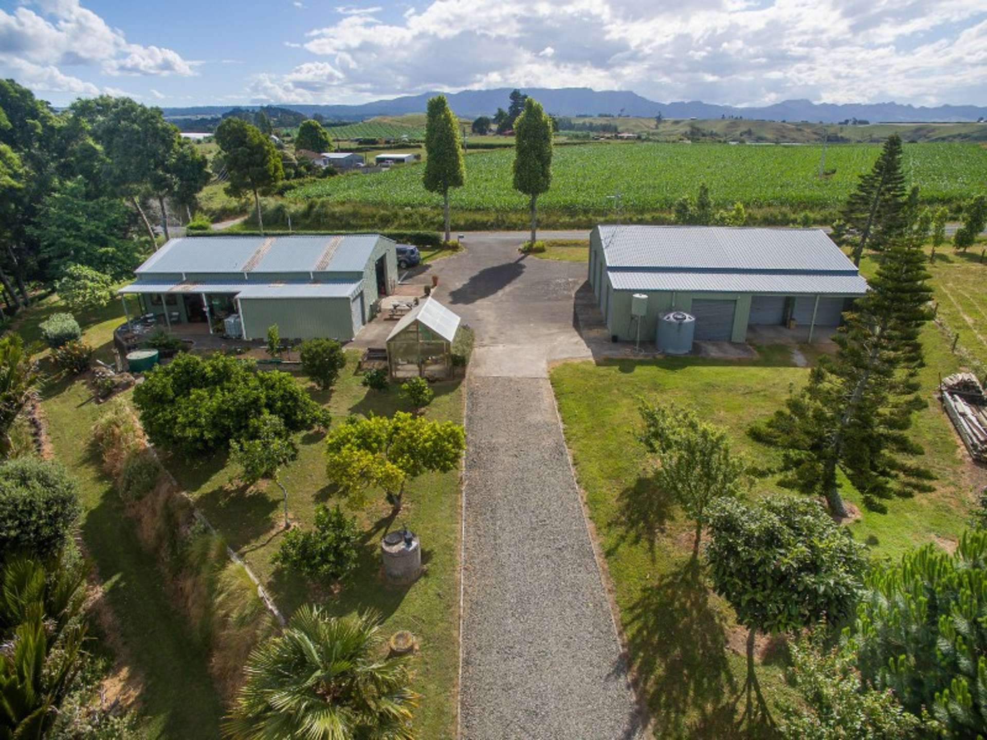 196 Pahoia Road Whakamarama_0