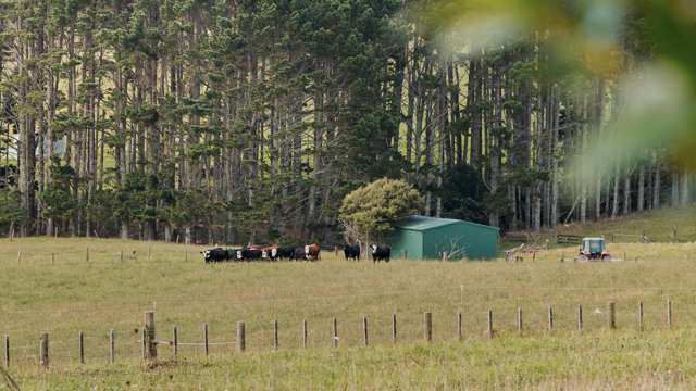 64 Haszard Road Taupaki_2