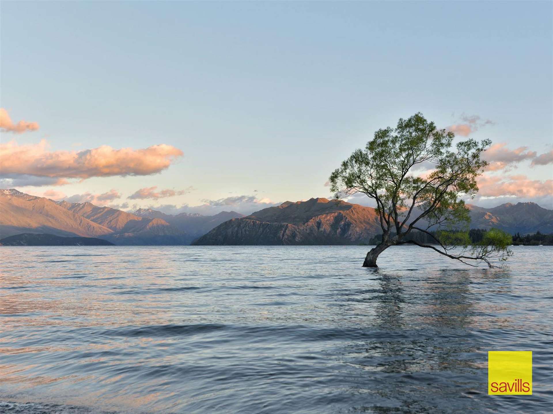 Address withheld Wanaka_0
