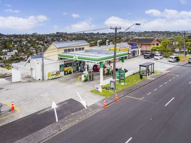 8B Target Road Totara Vale_1