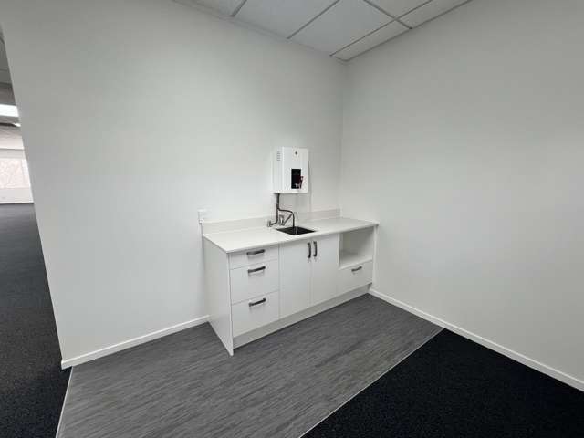 33 St Johns Road Meadowbank_4