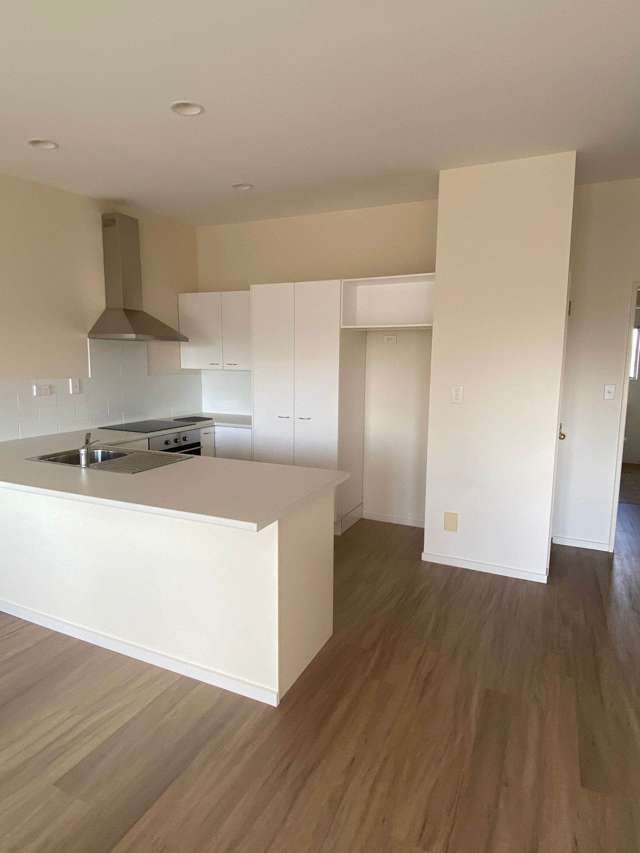 51 Palmgreen Court Stanmore Bay_2