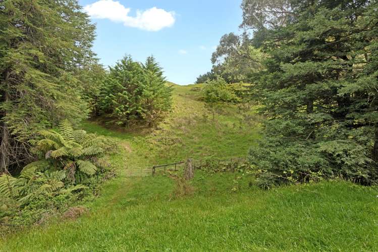 4649 Waiapu Road Te Puia Springs_20