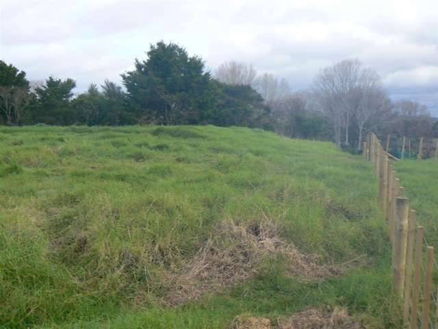 Yellow Blk/00 Doel Road Kawakawa_3