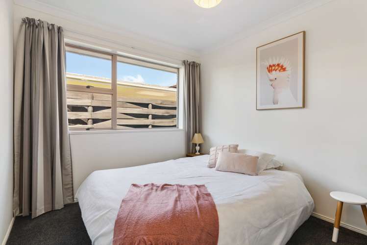 123 Elliot Street Pahurehure_12