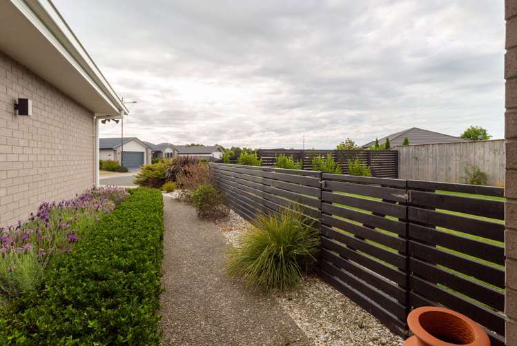 49 Curtis Street Stoke_17