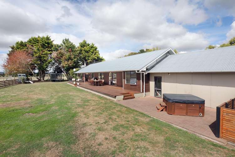 455b State Highway 1 Bulls_22