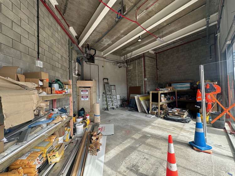 21 Ruru Street Eden Terrace_5