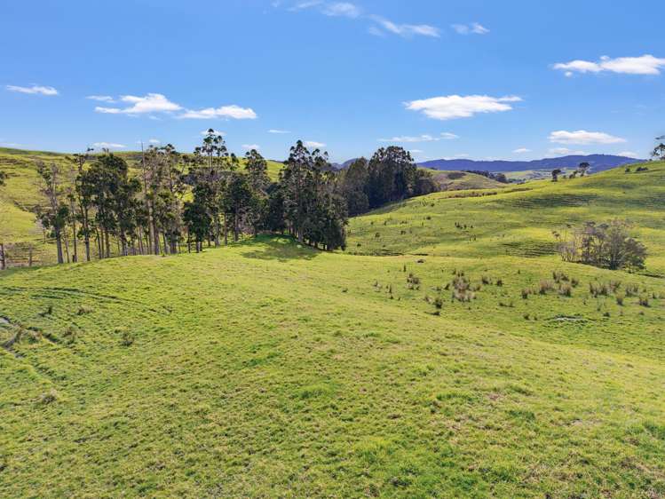 / Lot 12 Gorge Road Maungaturoto_6