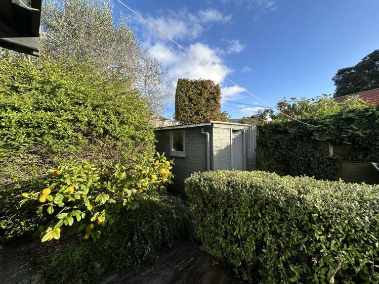 19 Tawariki Street Ponsonby_18