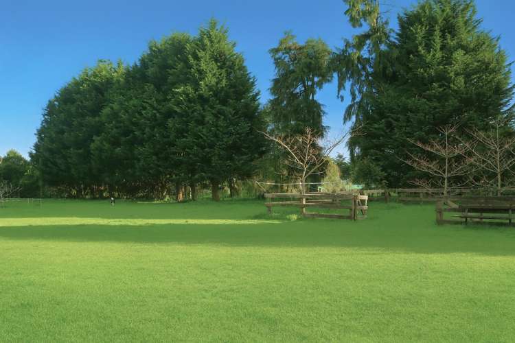 Lot 1/424 Tararua Road Levin_6