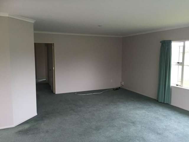 19 Olive Avenue Nukuhau_2