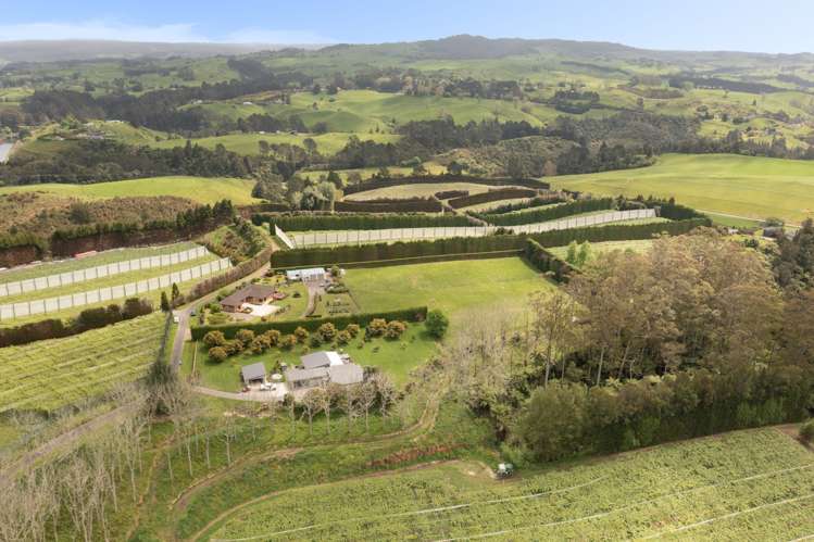 96b Jensen Road Kaimai_50