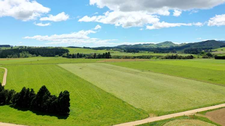 236 Tower Street Ormondville_10