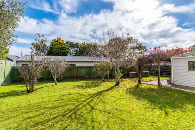 4 David Street Waikanae_4