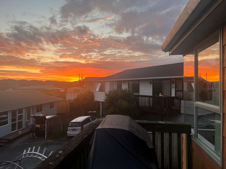 2/289 Blockhouse Bay Road Avondale_13