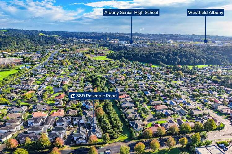 389 Rosedale Road Albany_24