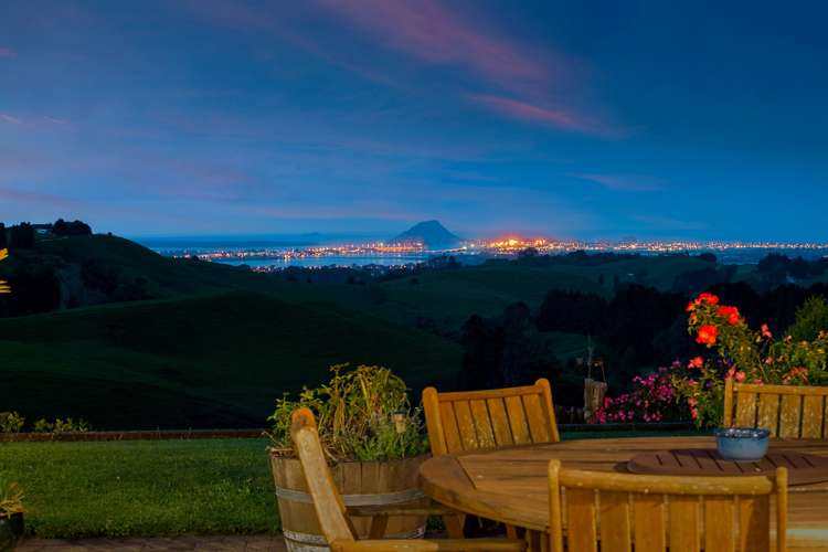 103e Rowe Road Ohauiti_7