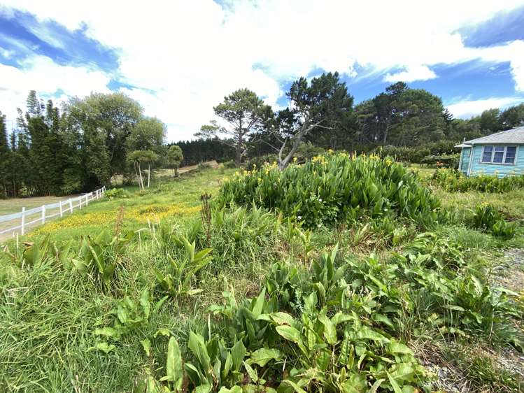 19 Pirika Street Dargaville_7