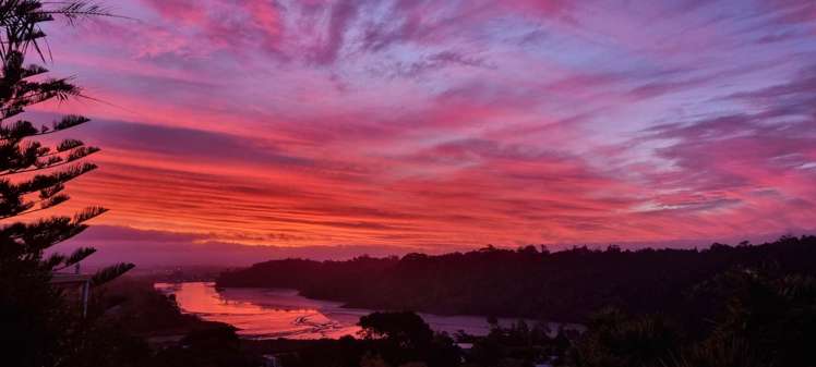 1/9 Pemberton Avenue Bayview_21