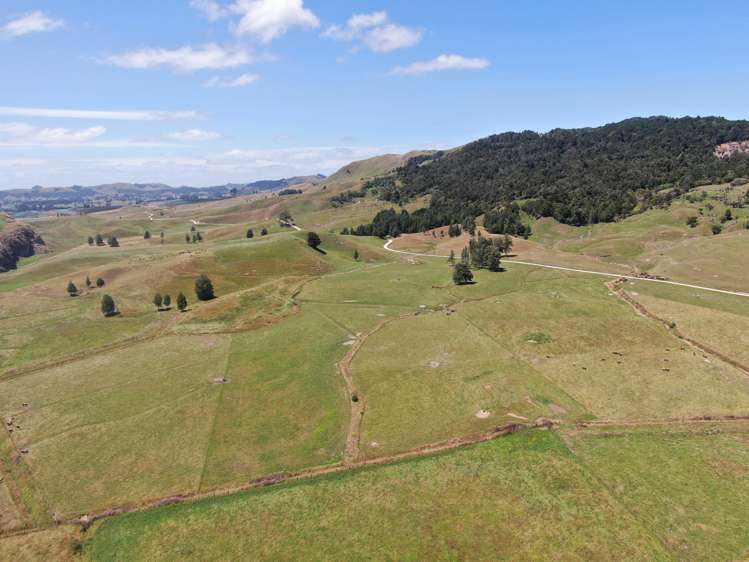 Kahuwera Road Piopio_15