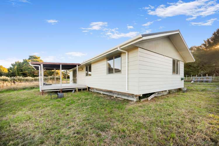 3763b State Highway 12 Taheke_13