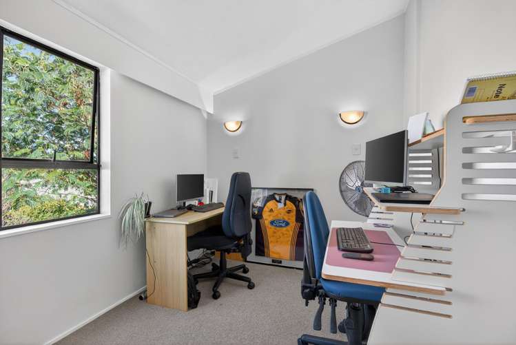 3B Pukatea Street Eastbourne_16