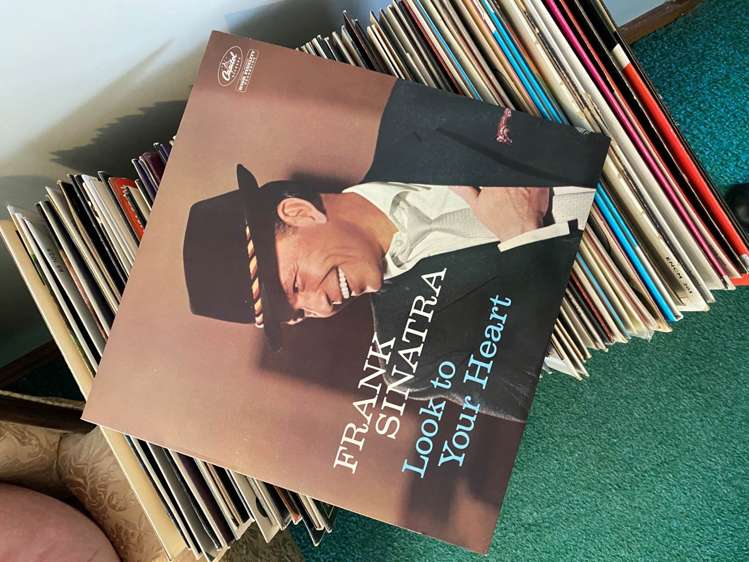 46 Warnock Street Westmere_21