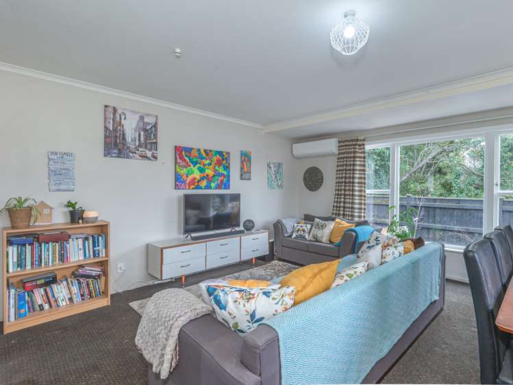 81 Macarthur Street Levin_1