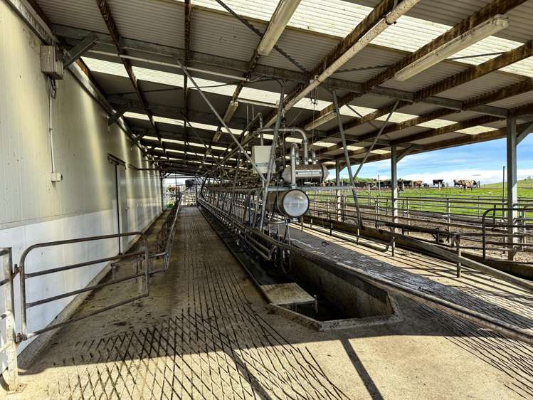 1532 Wyndham Letterbox Road Mataura Island_12