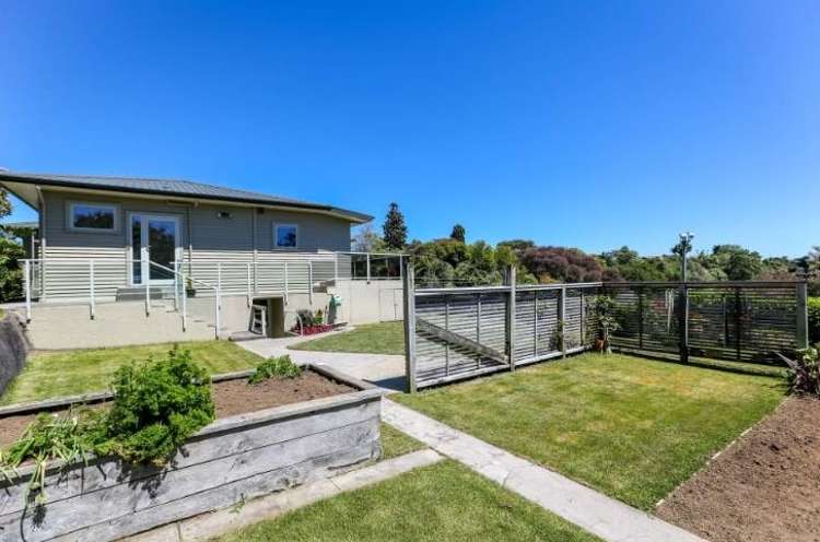 233B Carrington Street 10844_13