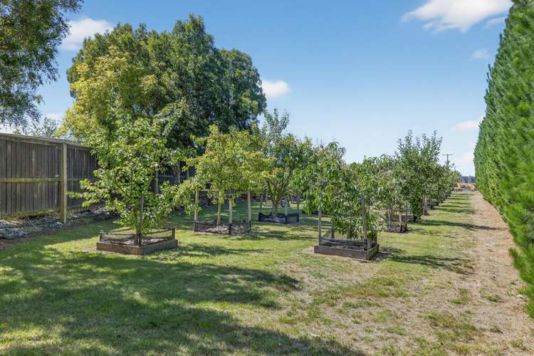 509 Downs Road Eyrewell_44