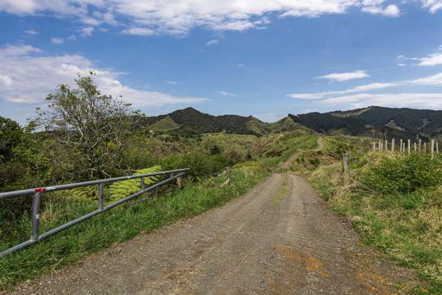 284 McCarthy Road Opotiki_3